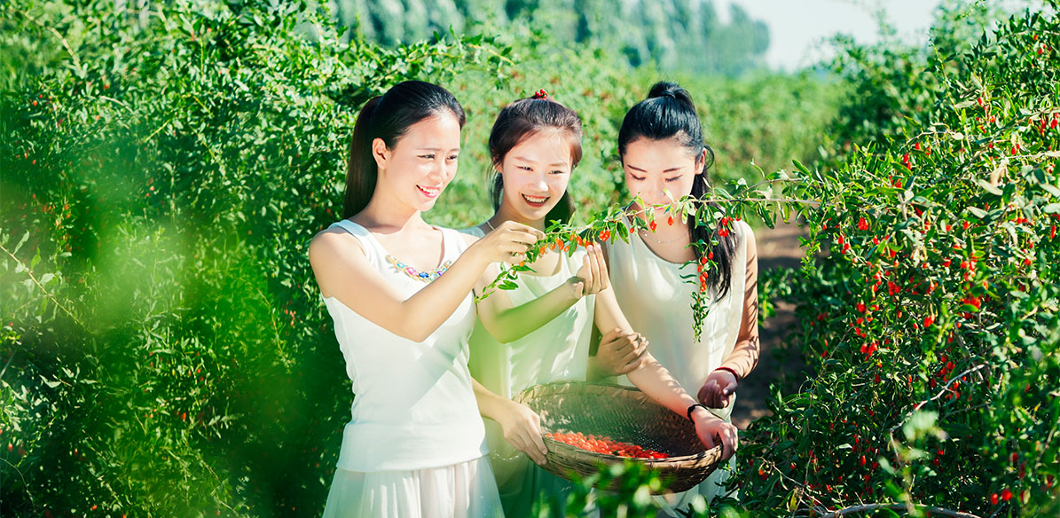 bbin·宝盈(中国)集团官方网站首页